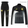 Tuta Borussia Dortmund 2024 25 - Grey