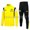 Tuta Borussia Dortmund 2023/24 - Yellow